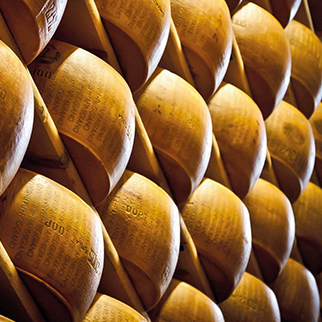 Link Parmigiano Grana